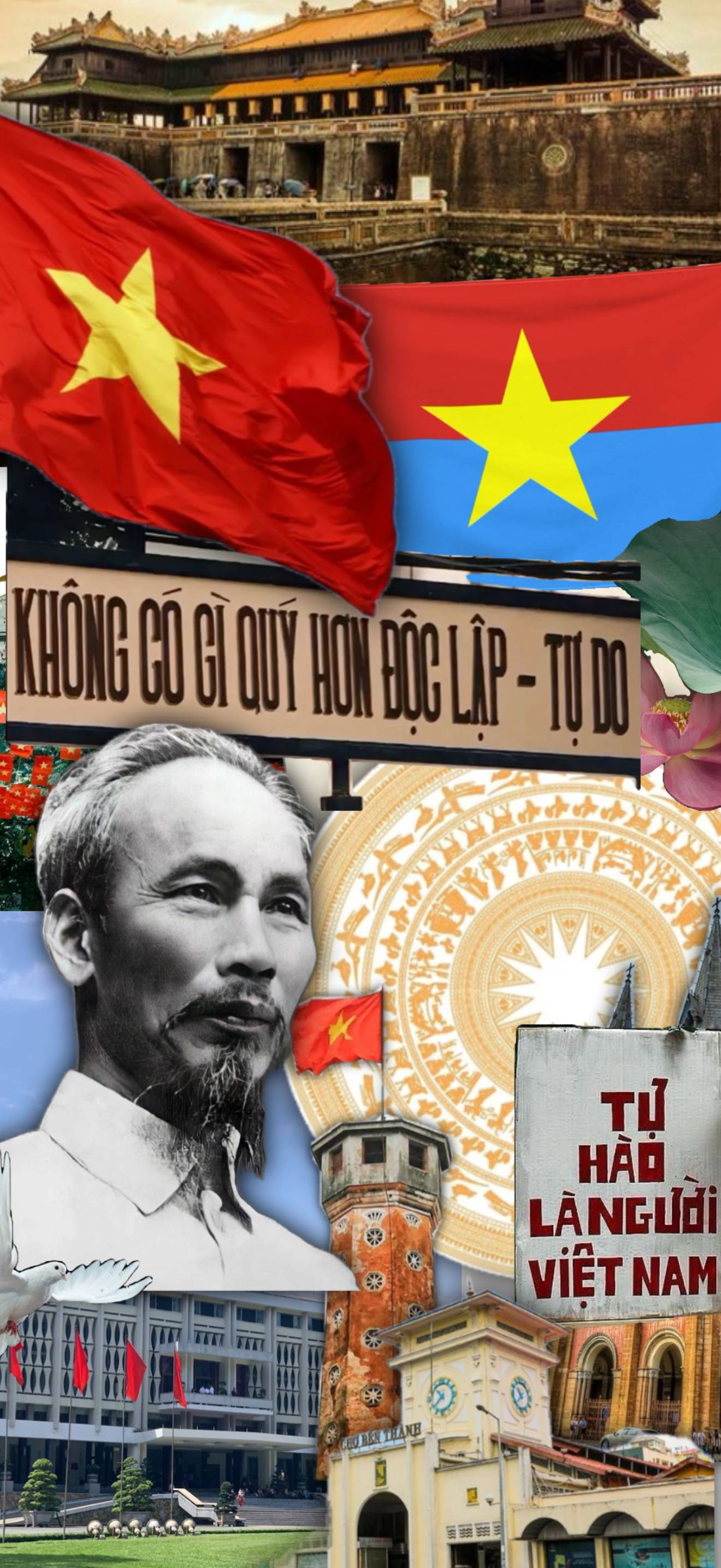 Hình nền A80 cho điện thoại