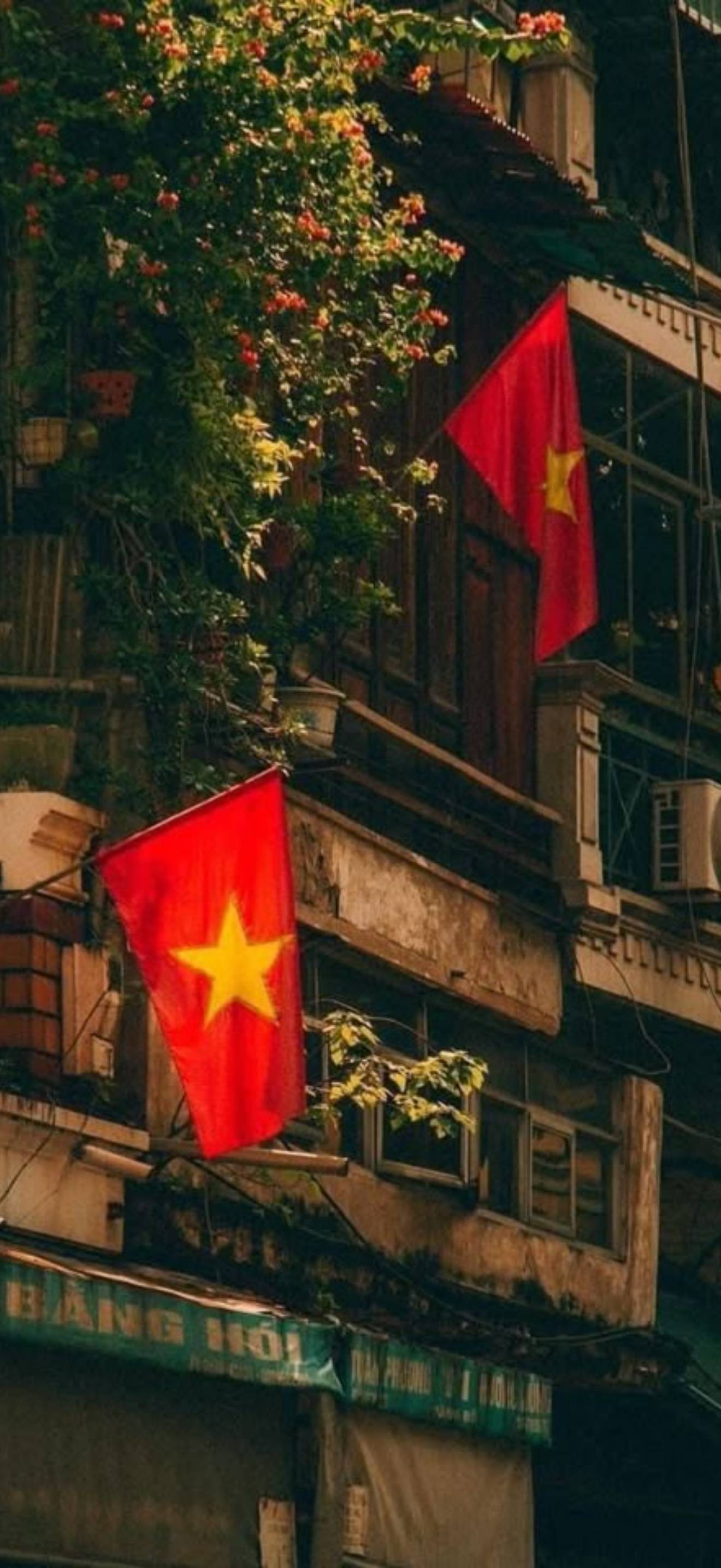Hình nền A80 cho điện thoại