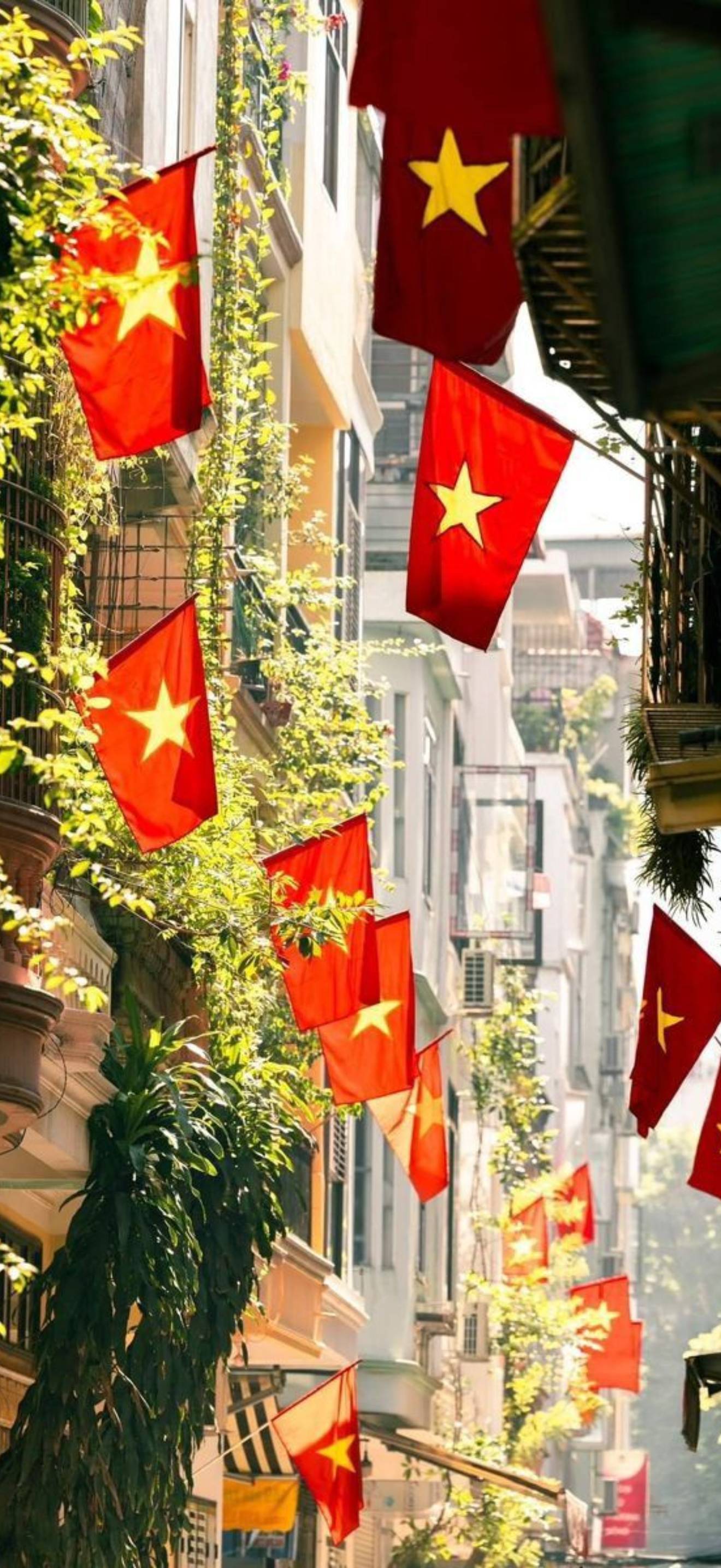 Hình nền A80 cho điện thoại