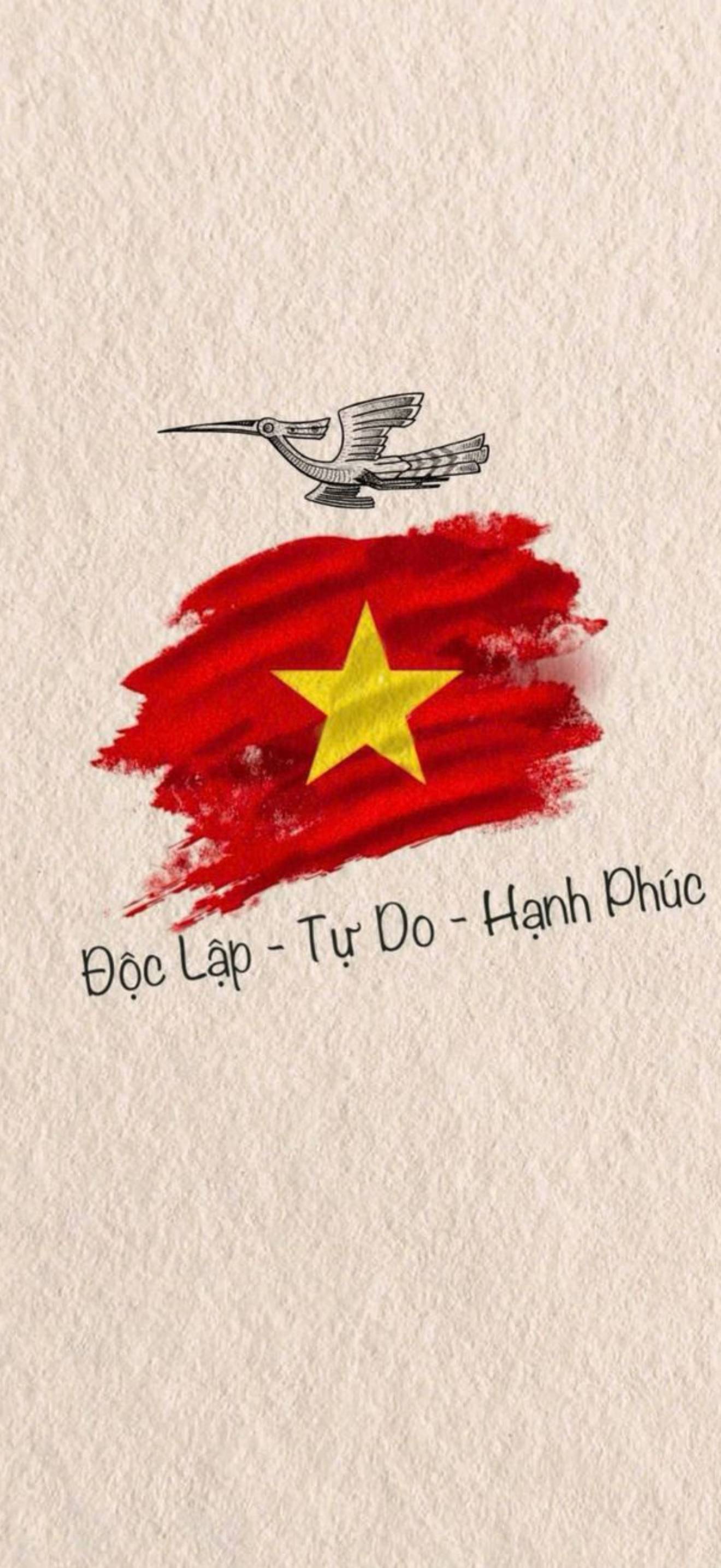 Hình nền A80 cho điện thoại