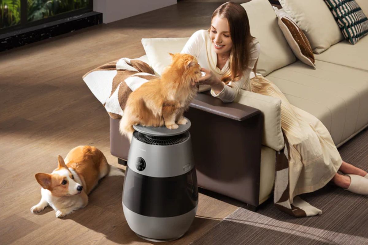 Máy lọc không khí Dreame giá rẻ mới nhất: Top 5 sản phẩm đáng mua hiện nay 2