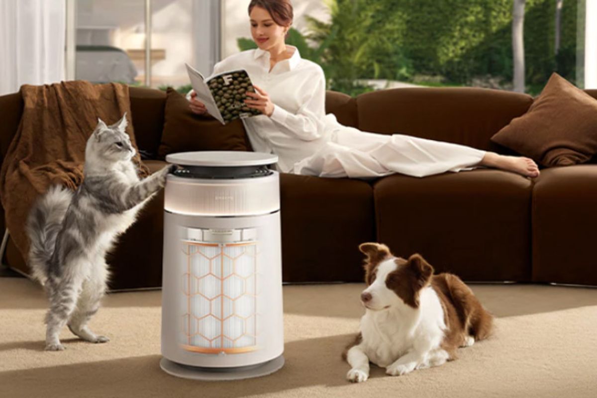 Máy lọc không khí Dreame giá rẻ mới nhất: Top 5 sản phẩm đáng mua hiện nay 5