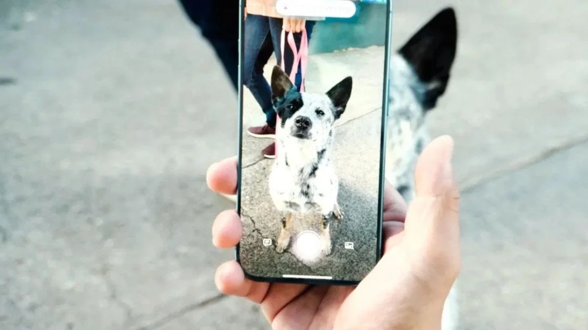 Visual Intelligence có thể làm gì?