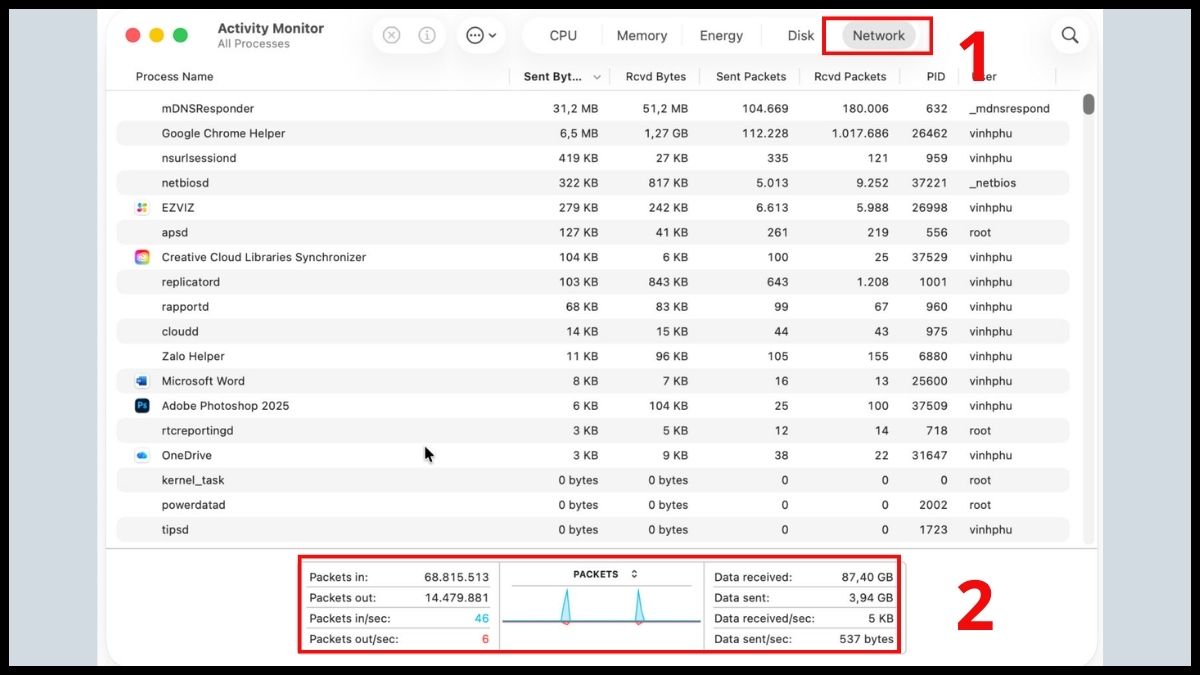 Xem hoạt động của Network