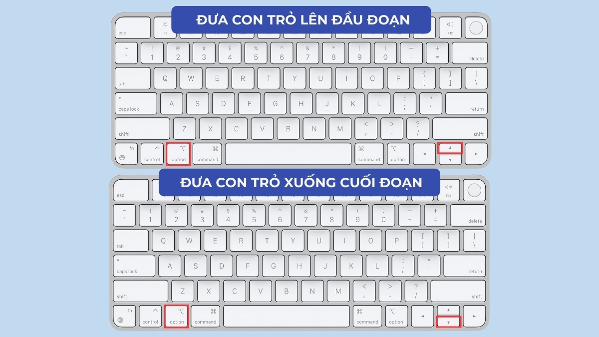 alt trong macbook giúp di chuyển trong văn bản dễ dàng