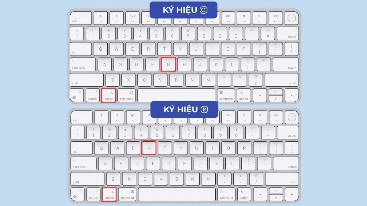 alt trong macbook giúp nhập ký tự đặc biệt