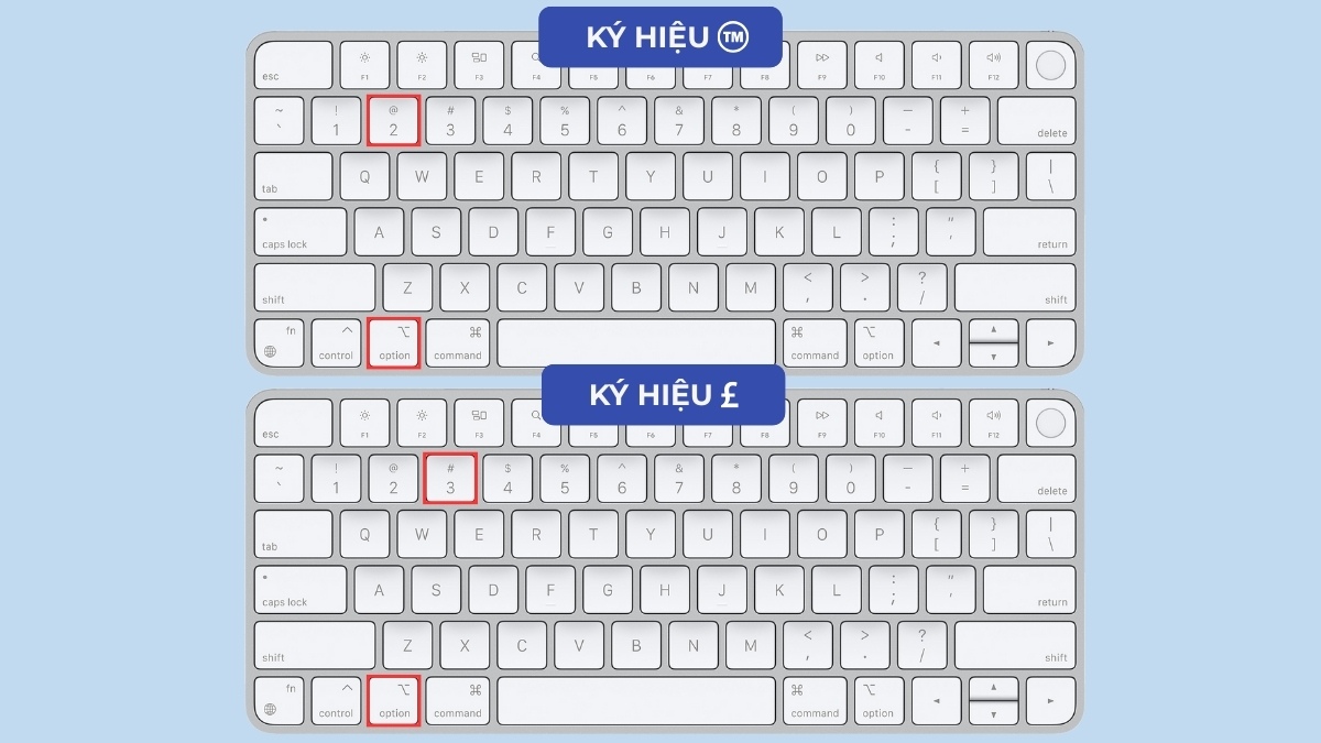 alt trong macbook giúp nhập ký tự đặc biệt dễ dàng