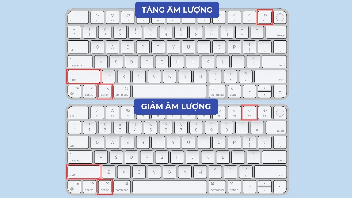 alt trong macbook giúp nhập ký tự đặc biệt dễ dàng