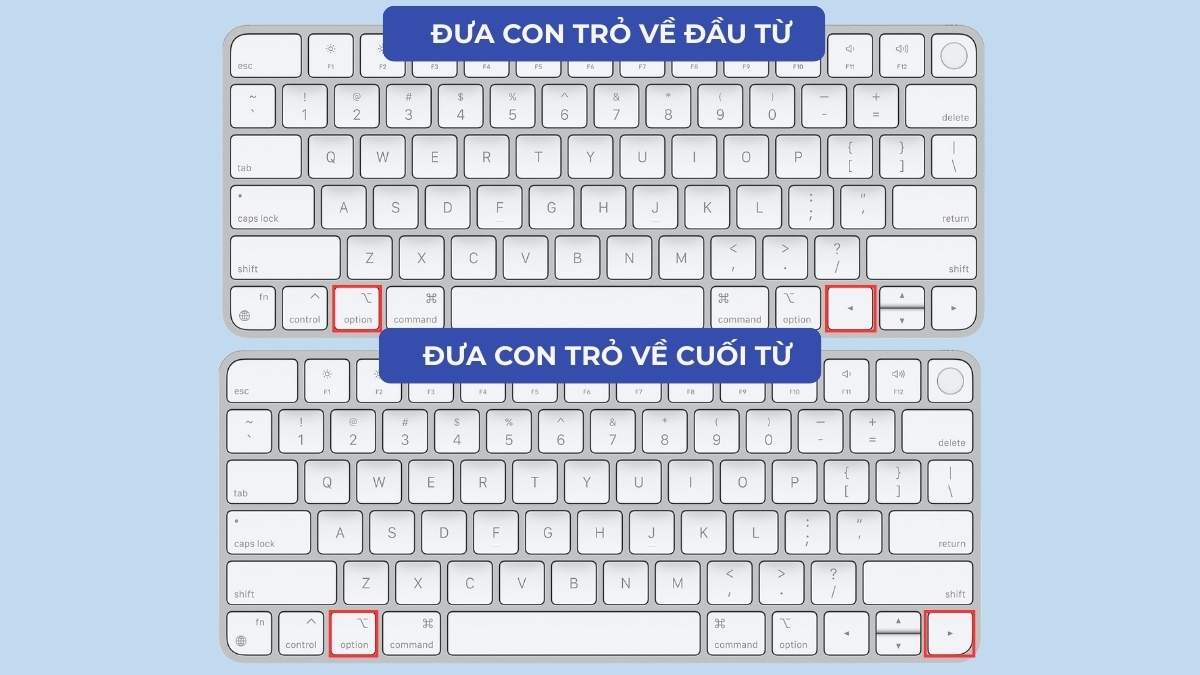 alt trong macbook giúp di chuyển trong văn bản