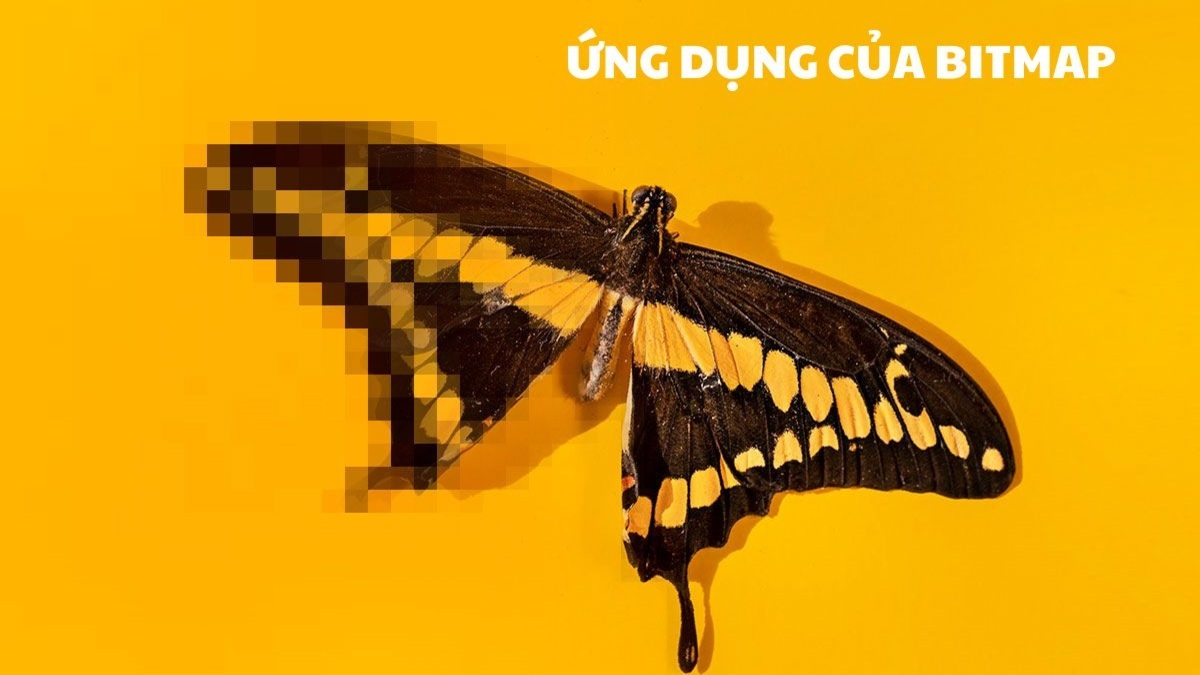 Ứng dụng thực tế của ảnh Bitmap là gì?
