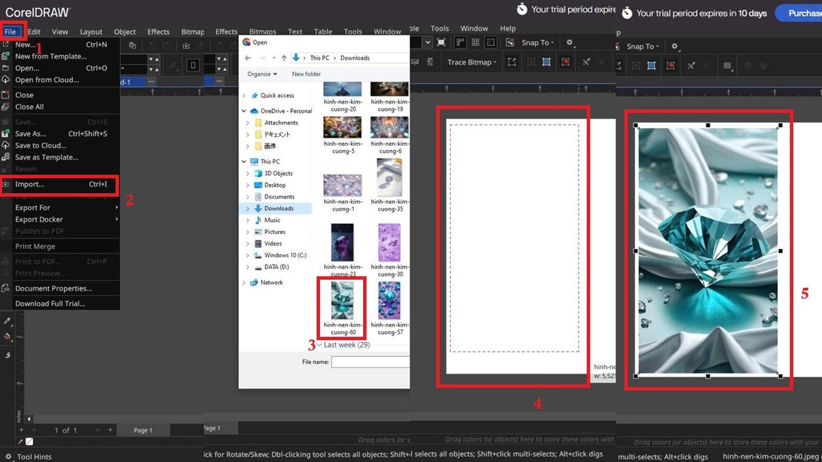 Cách chuyển ảnh Bitmap sang Vector bằng Corel bước 1