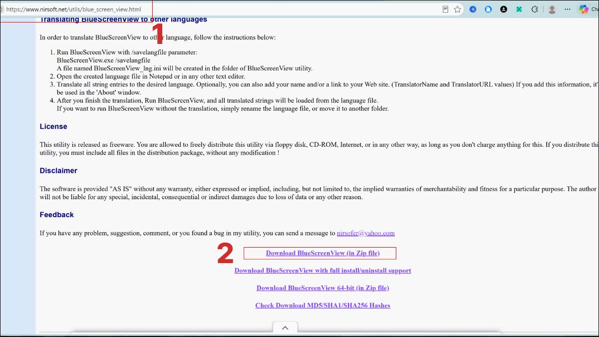 Cách tải và cài đặt BlueScreenView bước 1