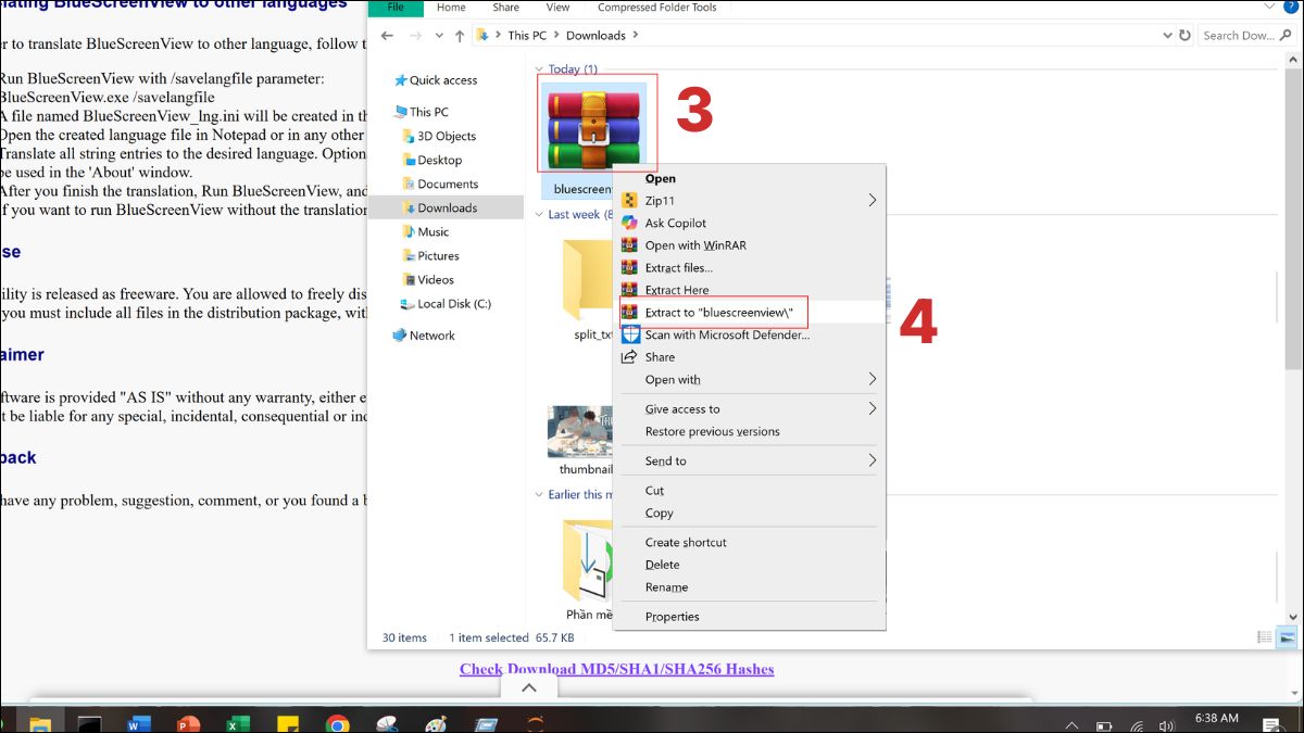Cách tải và cài đặt BlueScreenView bước 2
