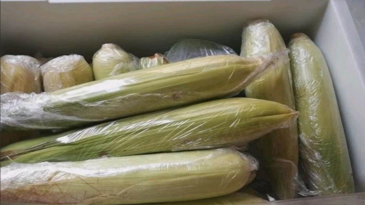 Nên để ngô ở ngăn mát hay ngăn đông?