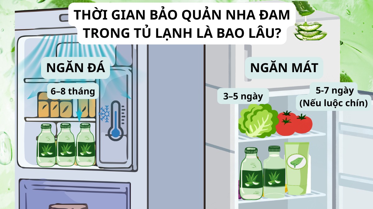 Thời gian bảo quản nha đam trong tủ lạnh là bao lâu?