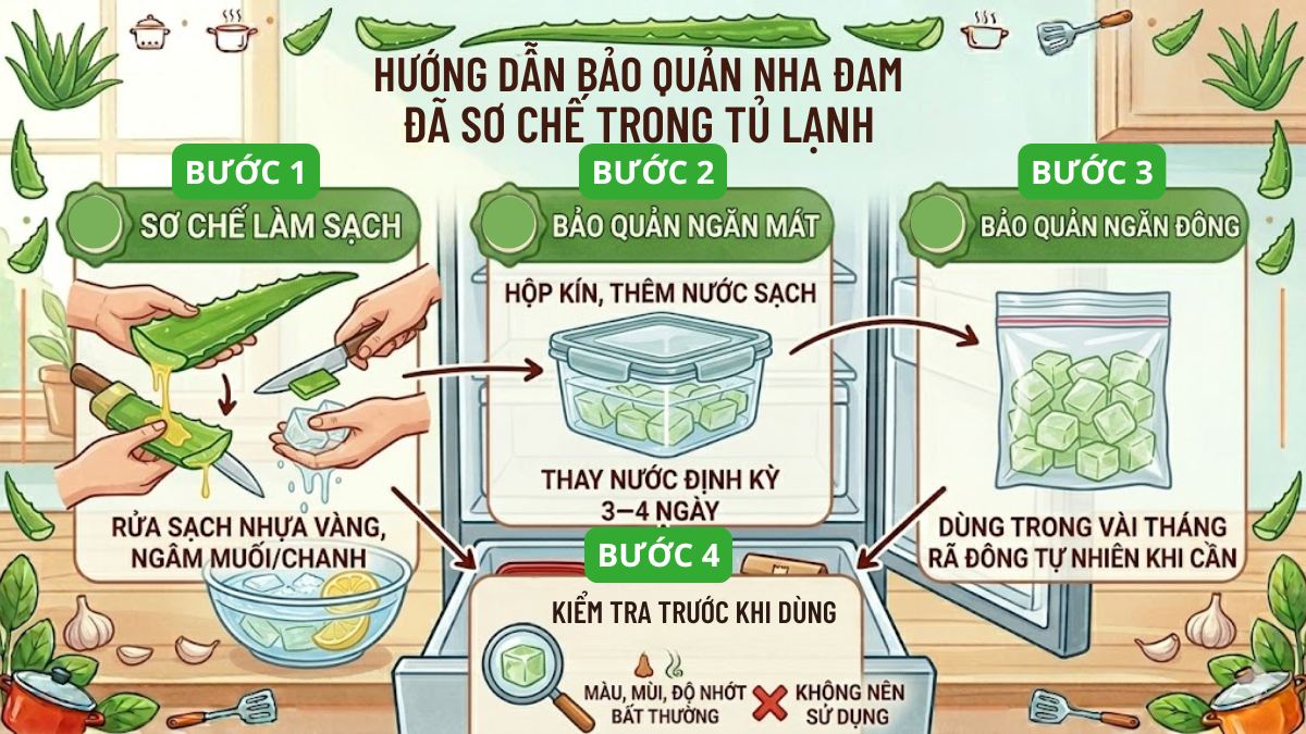 Hướng dẫn cách bảo quản nha đam đã sơ chế trong tủ lạnh