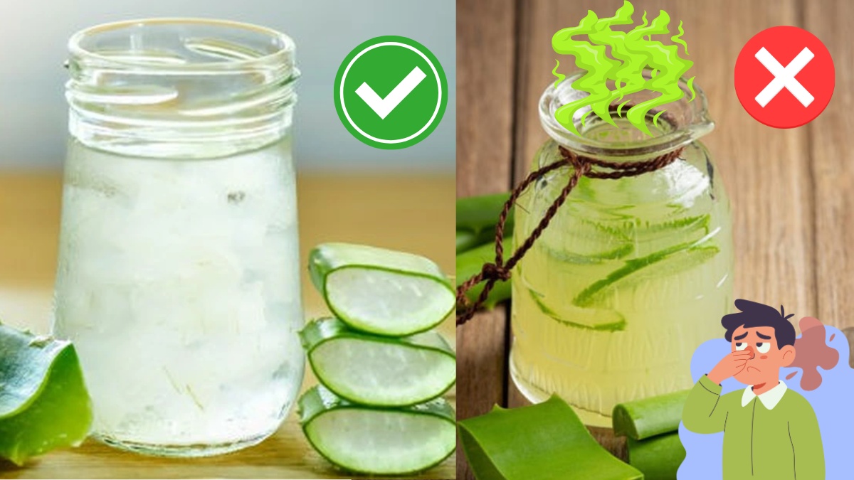  Cách nhận biết nha đam còn dùng được hay không - mùi