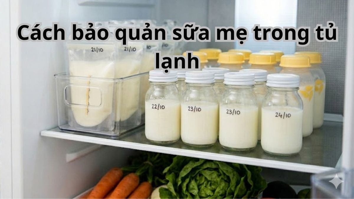 Cách bảo quản sữa mẹ trong tủ lạnh đúng chuẩn khoa học