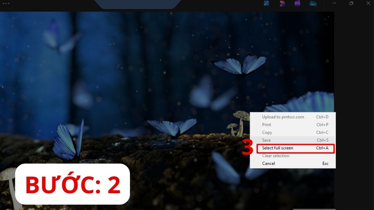 cách chụp màn hình laptop lenovo bằng lightshot bước 2