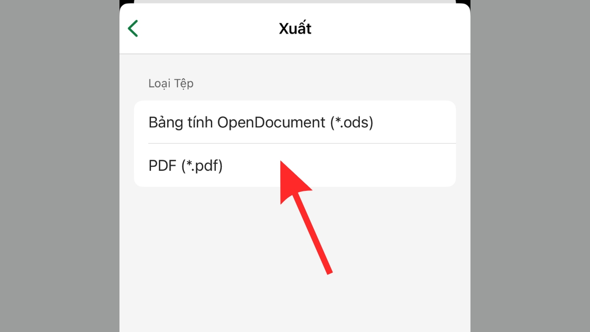 Cách chuyển file Excel sang PDF không bị cắt trên điện thoại - bước 3
