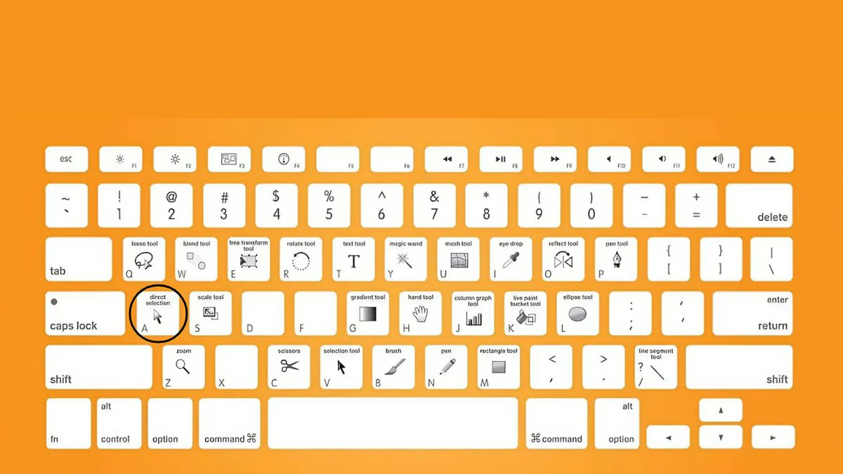 Cách gộp layer trong Illustrator bằng công cụ Direct Selection - bước 1