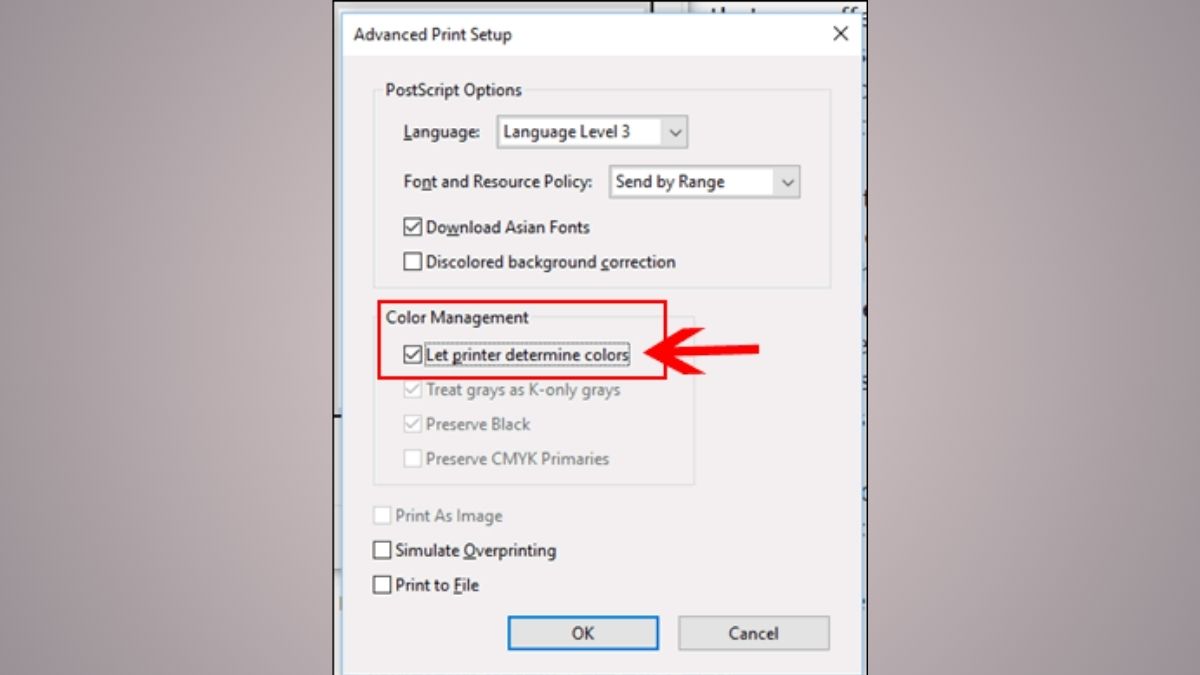 Cách in màu trên máy tính đối với tài liệu pdf - bước 3