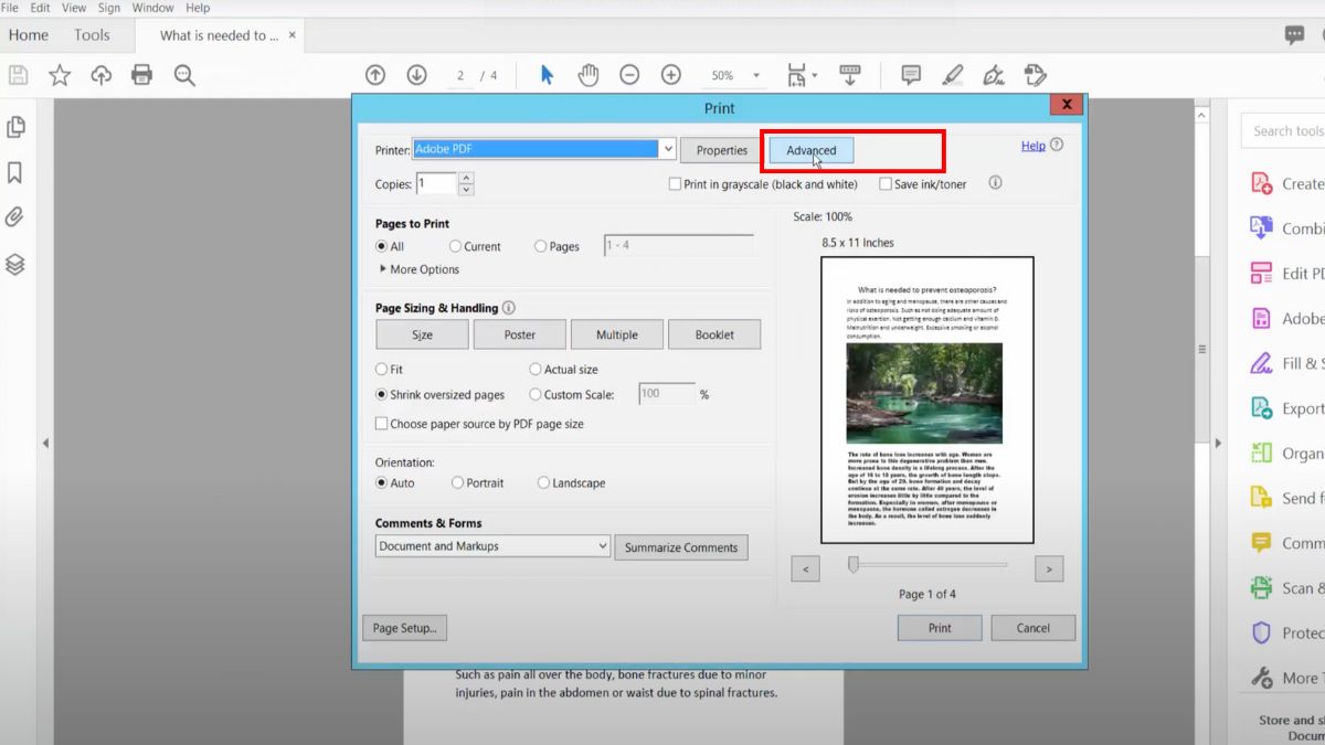 Cách in màu trên máy tính đối với tài liệu pdf - bước 1