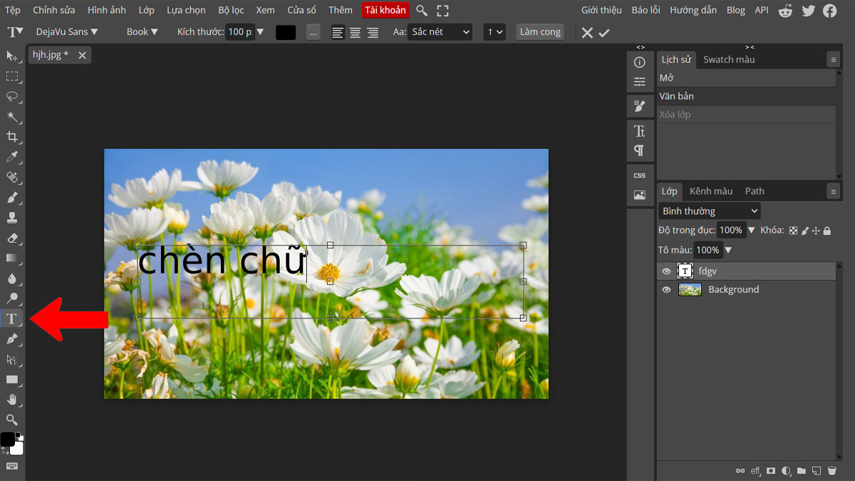 Hướng dẫn cách thêm chữ vào ảnh trên máy tính bằng Photopea