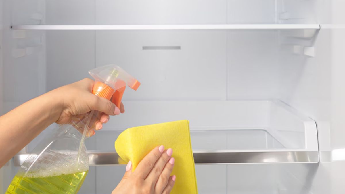 Cách vệ sinh tủ lạnh bị mốc bằng làm sạch ngăn mát