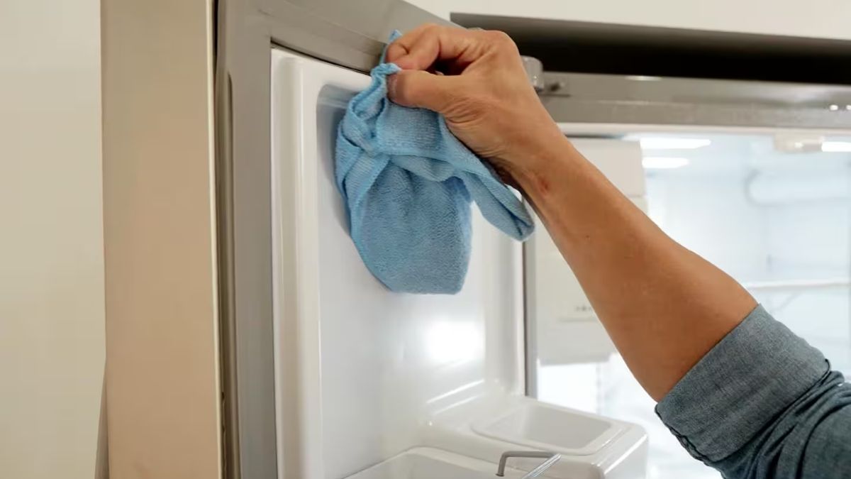 Cách vệ sinh tủ lạnh bị mốc bằng cách làm sạch gioăng