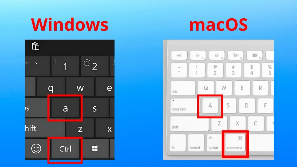 Cách xóa ảnh chụp màn hình máy tính hàng loạt bước 2