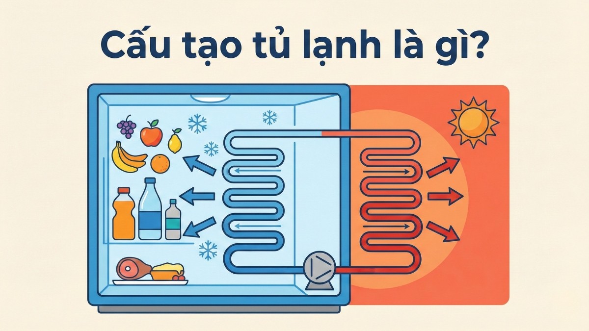 Cấu tạo tủ lạnh là gì?