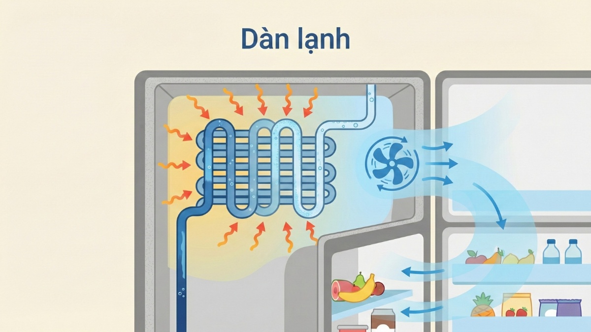 Cấu tạo tủ lạnh hiện đại - dàn lạnh