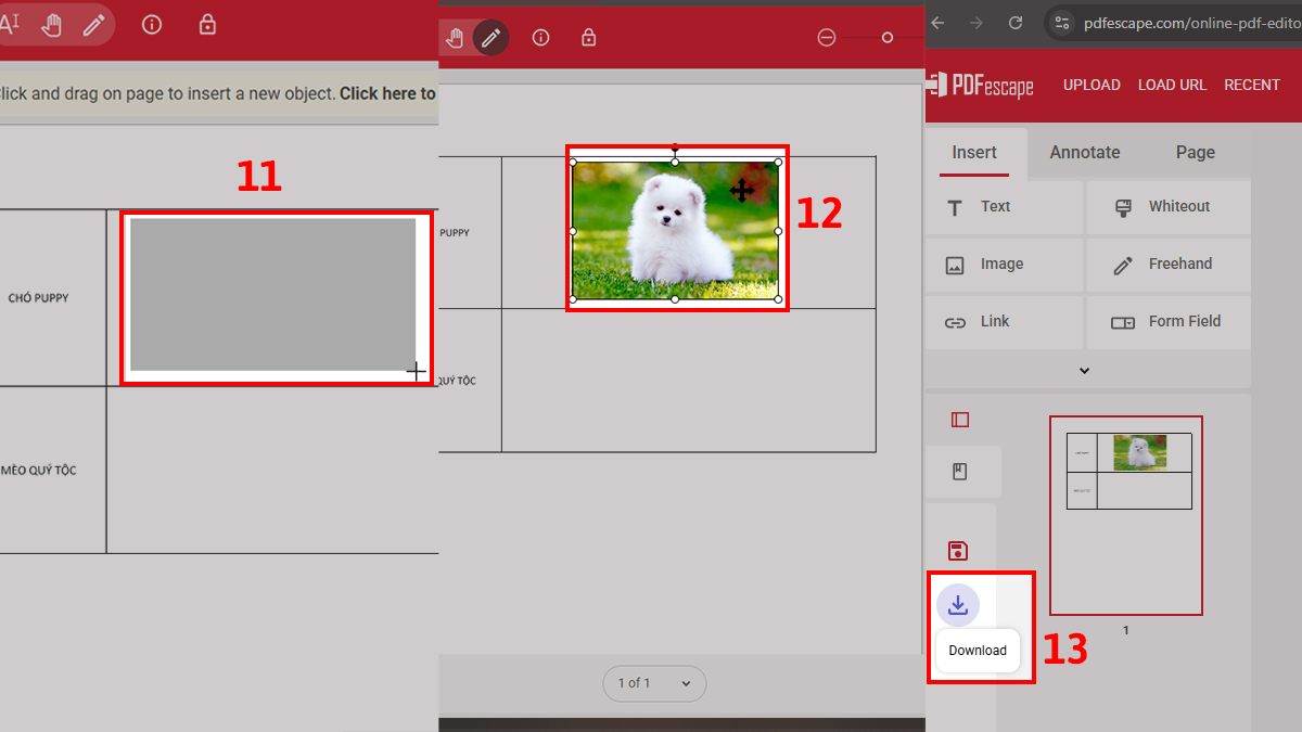 Cách chèn ảnh vào PDF bằng pdfescape bước 3