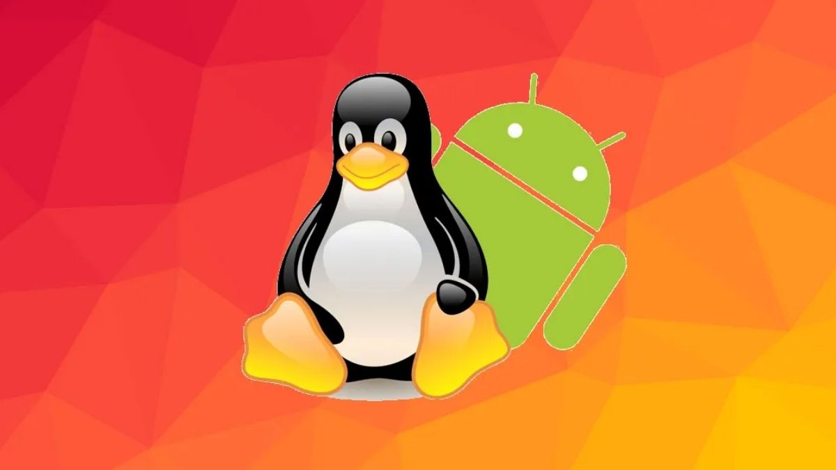Những tính năng nổi bật có trên ChromeOS - Hỗ trợ ứng dụng Android & Linux