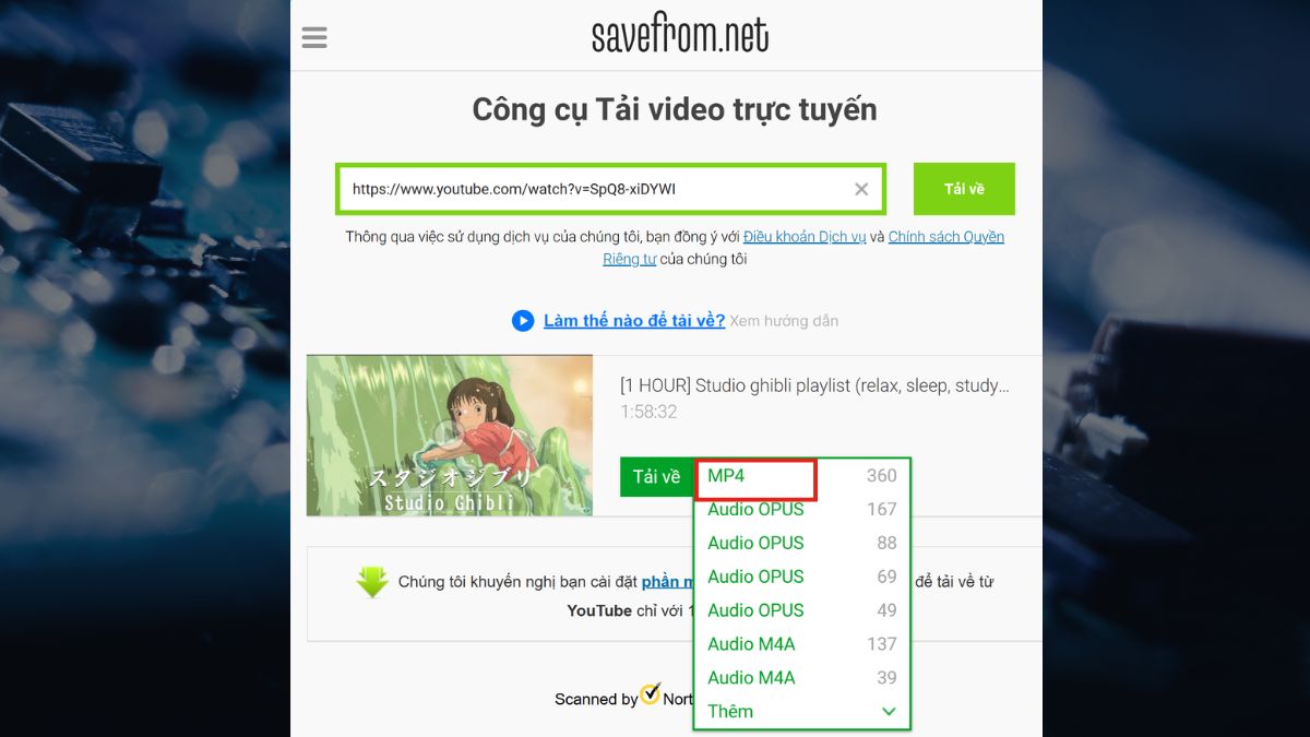 cách chuyển YouTube sang MP4 bằng savefrom - bước 2