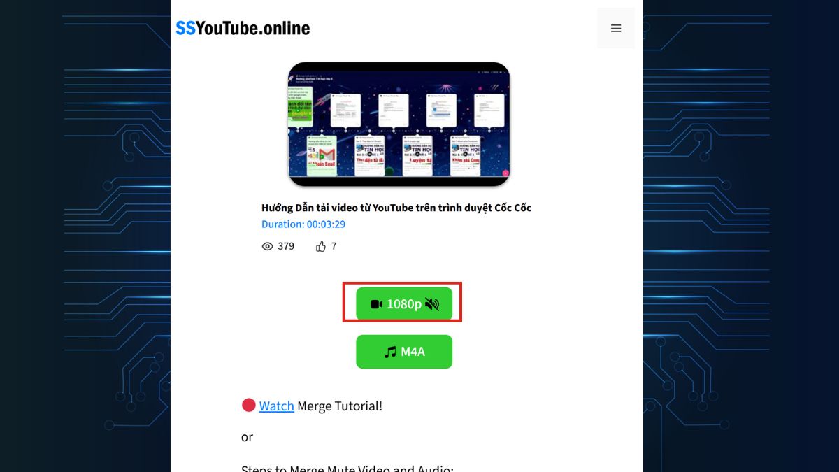 Sử dụng công cụ ssYouTube - bước 3
