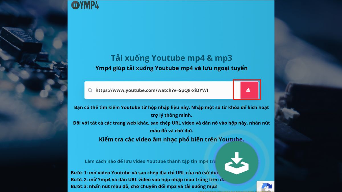 cách chuyển YouTube sang MP4 bằng YMP4 - bước 2