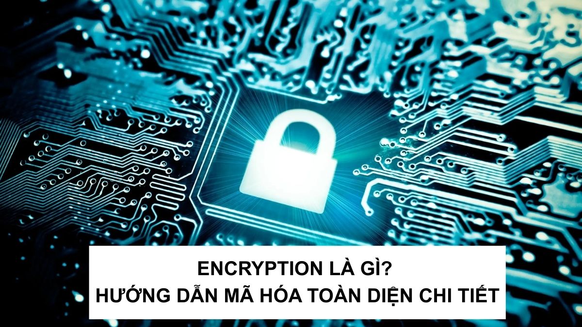 Encryption là gì? Hướng dẫn mã hóa toàn diện năm 2026