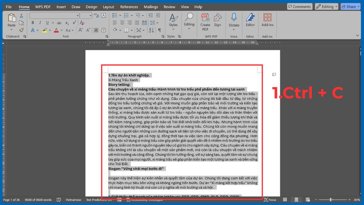 Cách fix lỗi khung căn lề Word hiện nhiều dòng bằng sửa lỗi text boundaries bước 1