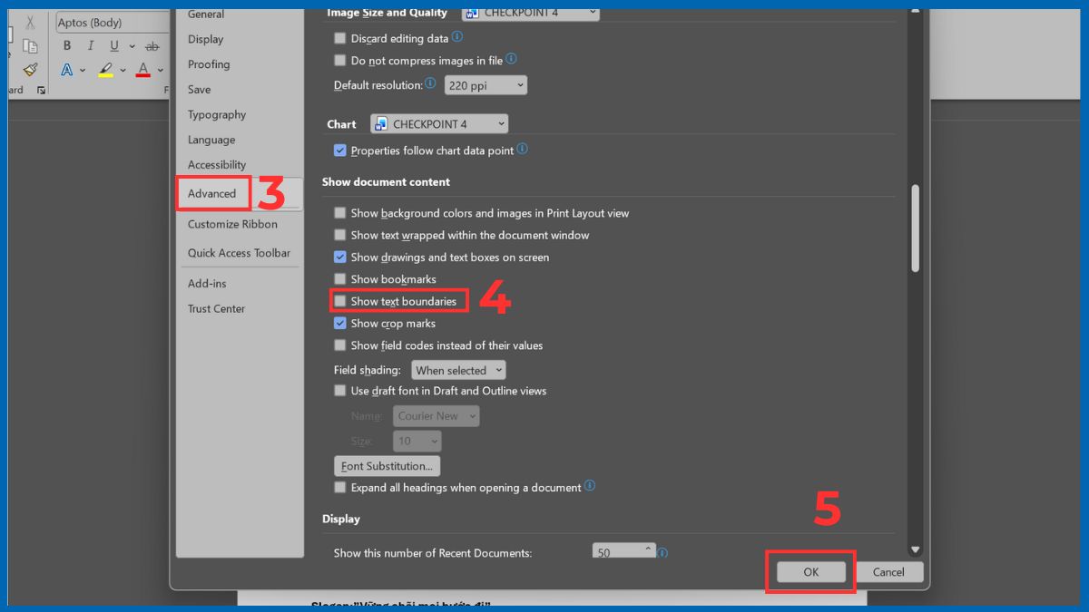 Cách fix lỗi khung căn lề Word hiện nhiều dòng bằng tắt hoàn toàn text boundaries bước 4