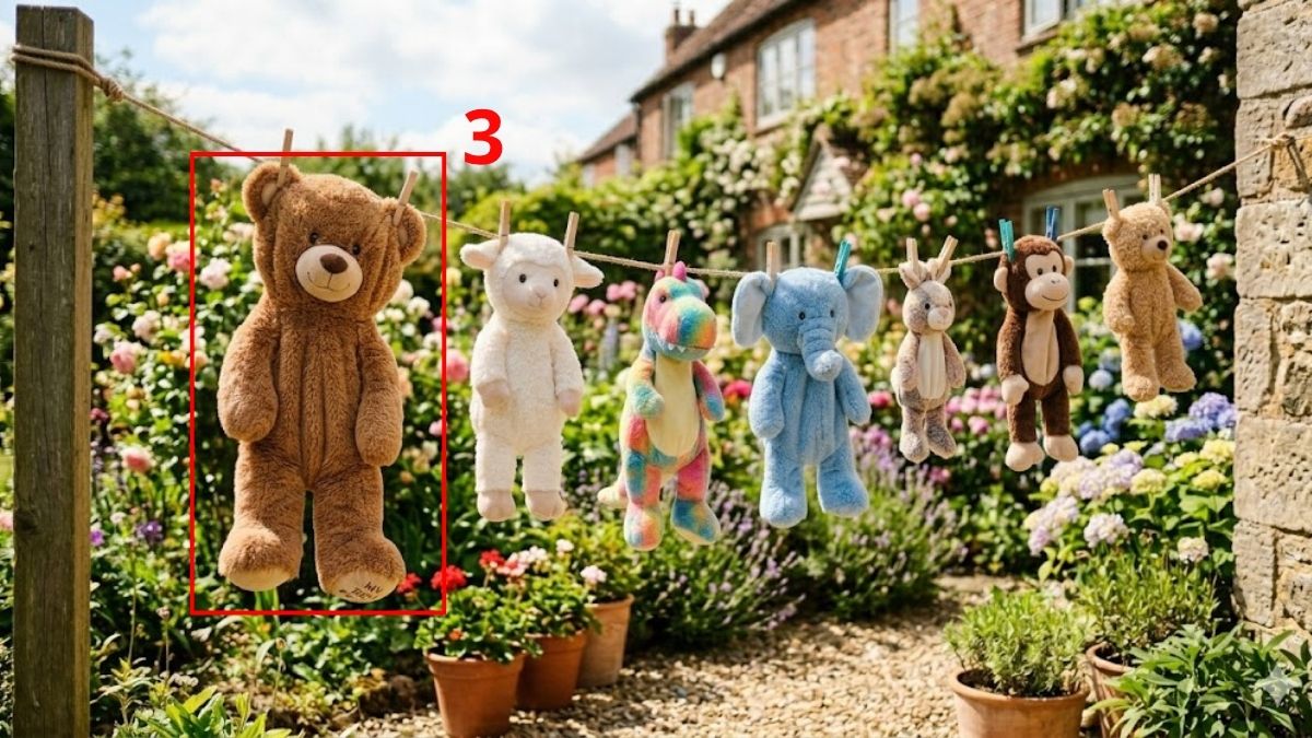 Cách giặt gấu bông bằng máy giặt với thú bông cỡ lớn bước 3