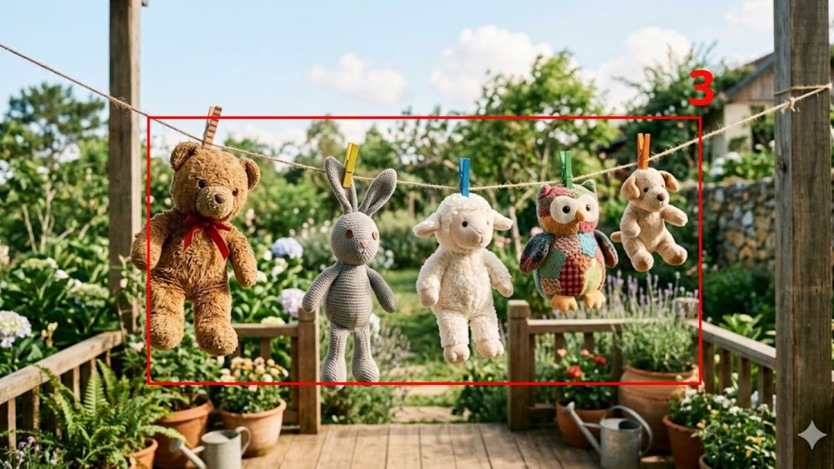 Phơi khô đúng cách bước 3