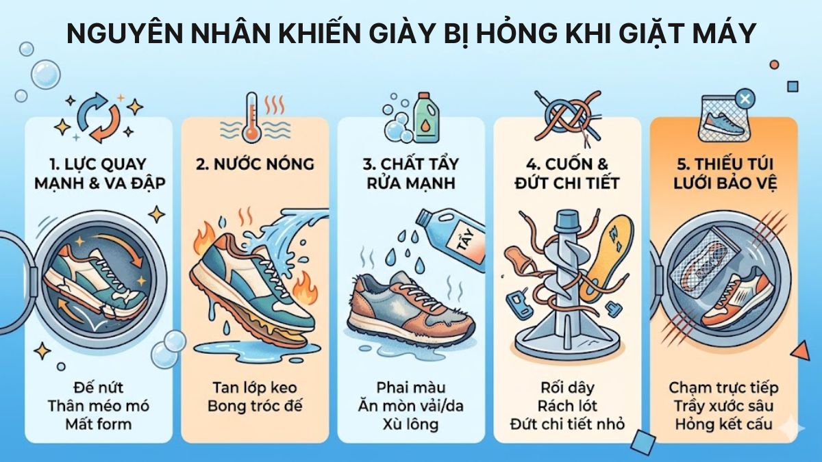Nguyên nhân khiến giày bị hỏng khi giặt máy