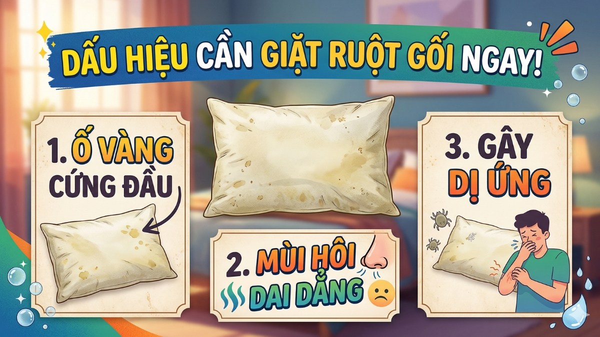Dấu hiệu cho thấy ruột gối cần giặt ngay