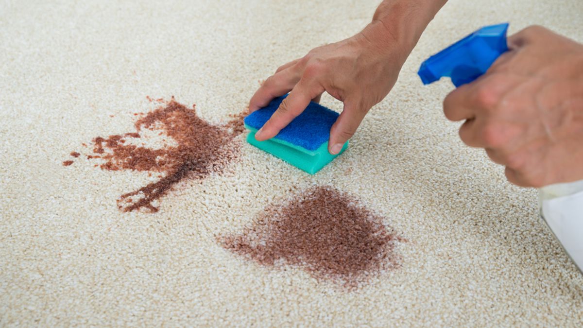 Chuẩn bị trước khi giặt thảm bằng máy giặt - làm sạch bụi bẩn