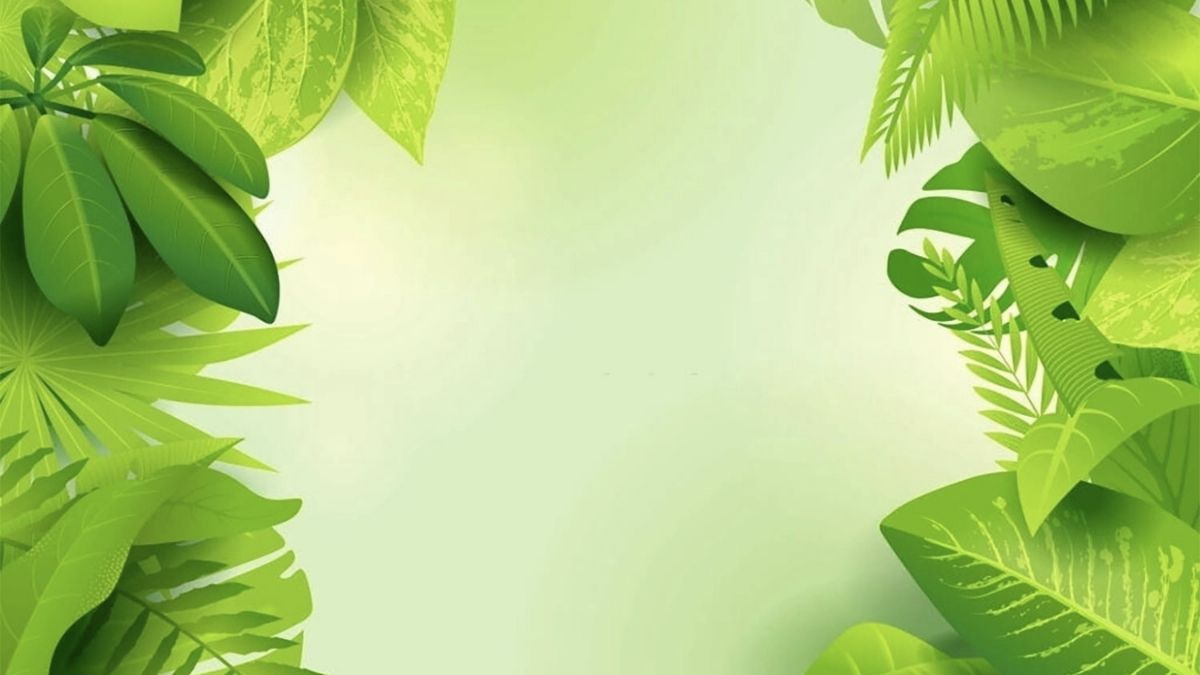 hình nền PowerPoint 3D chủ đề thiên nhiên đơn giản