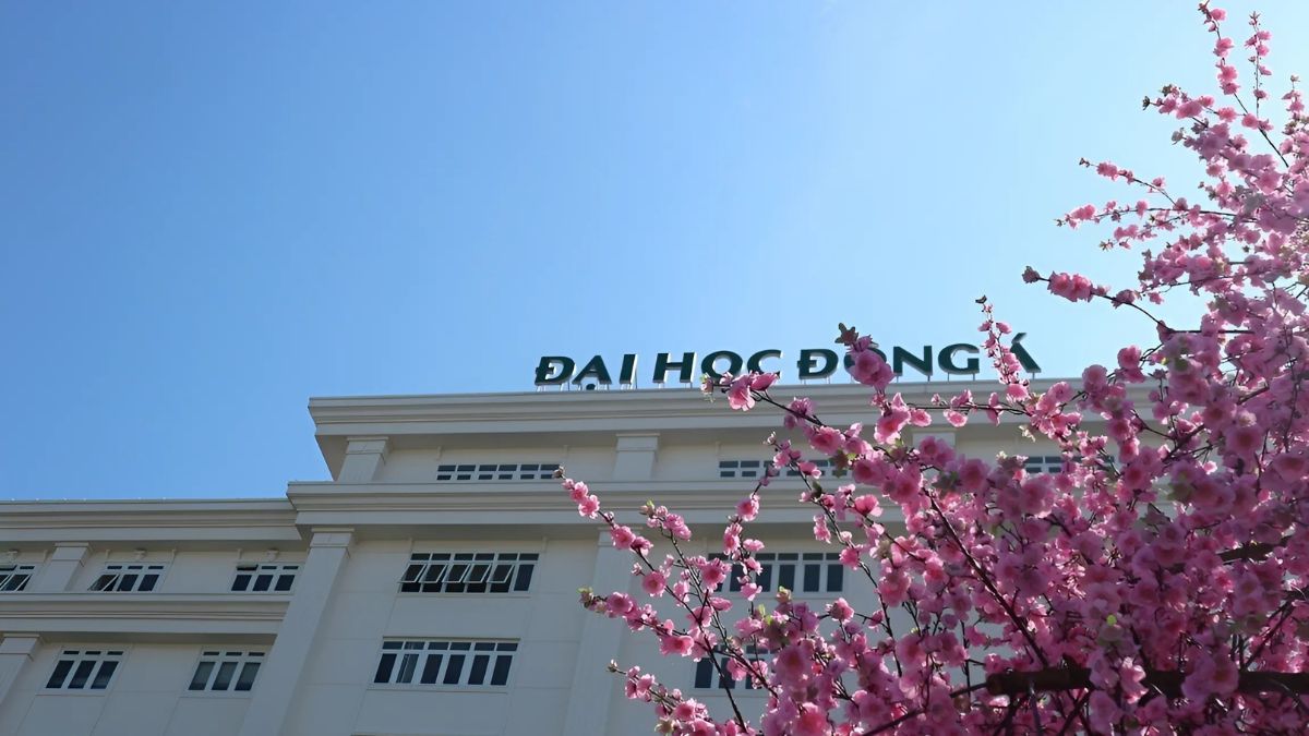 So sánh học phí Đại học Đông Á qua các năm