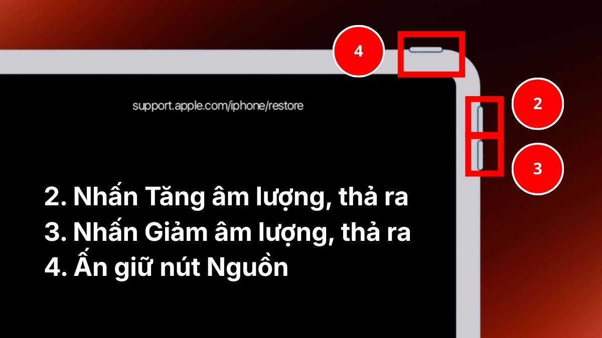 khắc phục lỗi iPad bật nguồn chỉ hiện logo rồi tắt bằng restore ipad bước 2