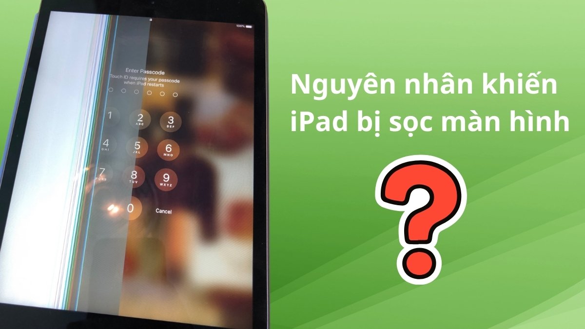 Nguyên nhân khiến iPad bị sọc màn hình